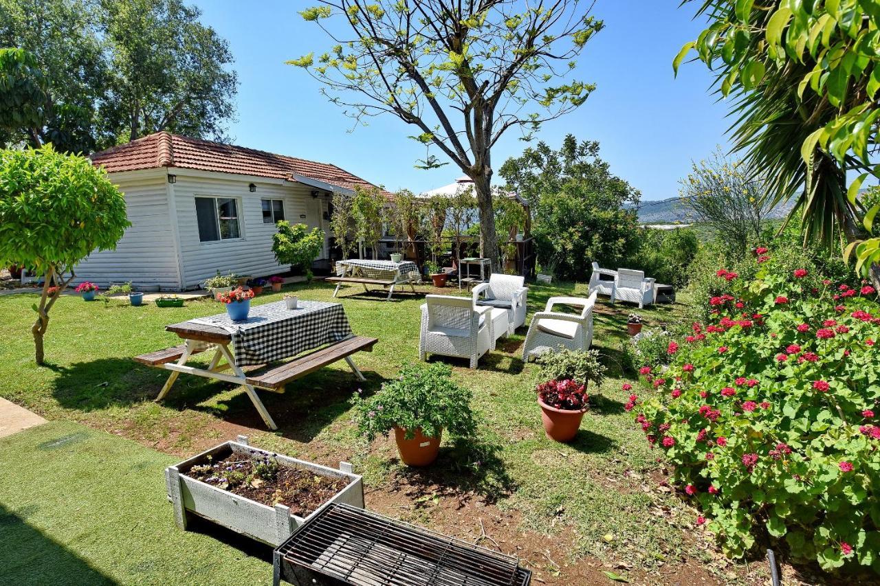 Biktot Nofim Villa Manot ภายนอก รูปภาพ